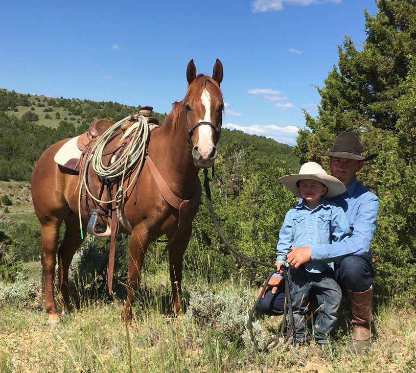 wyoming-region-e-elk-hunting-outfitter